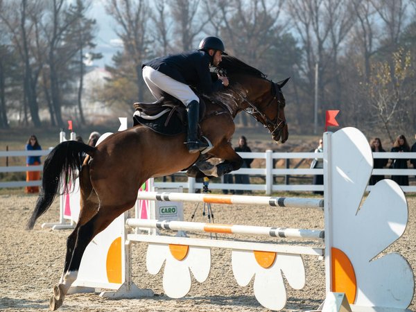 Welche Rolle spielt die Teamarbeit im Basketballspiel?